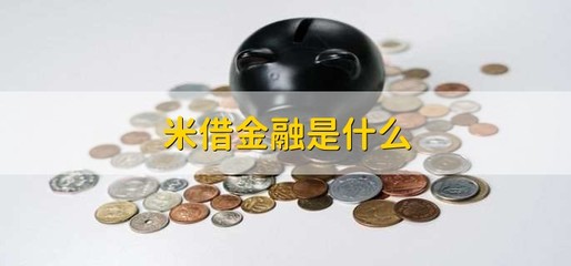 米借金融是什么,贷款的条件